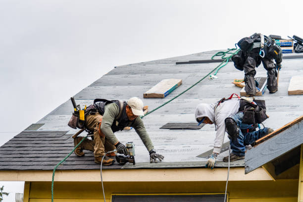 Professional Storm Damage Roof Repair technician working in Selma, IN